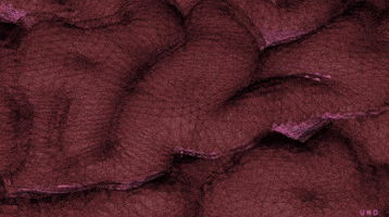 mind uwe heine GIF by Uwe Heine Debrodt