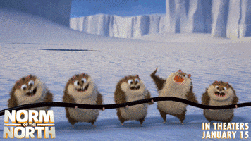 #normofthenorth GIF by Lionsgate