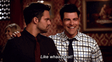 Max Greenfield Fox GIF by New Girl