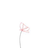 peaceful flower GIF by Alex Grigg