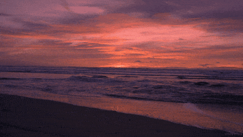 beach sunset GIF by Living Stills