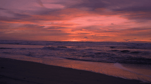 Perfect Beach GIFs - Get the best GIF on GIPHY