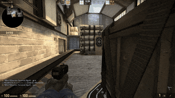 lowe csgo GIF
