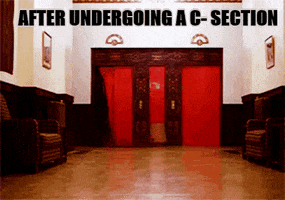cynicat  GIF