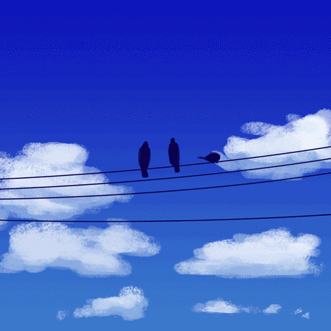 latecantparty test birds wip GIF