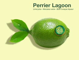fish bubbles GIF by Perrier