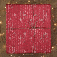 aperol_christmas_gift GIF by Aperol Germany