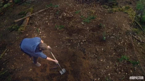 bury tv land GIF by #Impastor