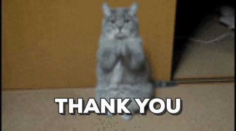 Thank U Reaction GIF by Amanda - Find & Share on GIPHY