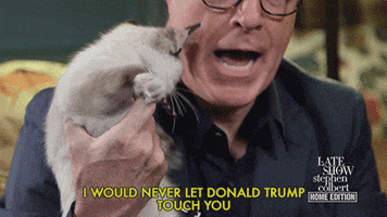 donald trump cat GIF by The Late Show With Stephen Colbert
