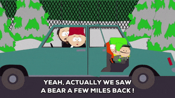 kyle broflovski bear GIF by South Park 