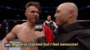 I Feel Awesome Ufc 206 GIF by UFC