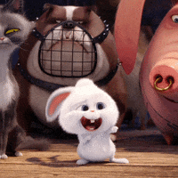 Happy Blu-Ray GIF by The Secret Life Of Pets