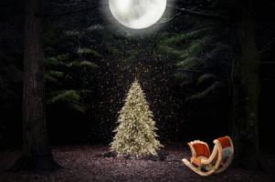 hoodieethecannuck christmas holiday tree lights GIF