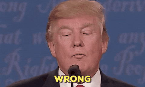 giphy.gif?cid=790b7611039ca81506b4a2b7aee19bf69282c2d02405dcbf&rid=giphy.gif
