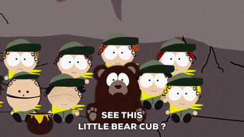 play bear GIF by South Park 