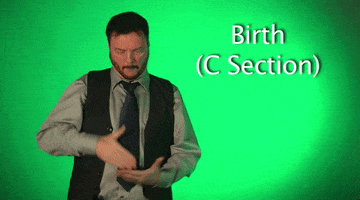 sign language birth GIF by Sign with Robert