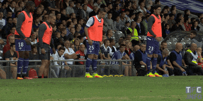 ligue 1 dance GIF by Toulouse Football Club