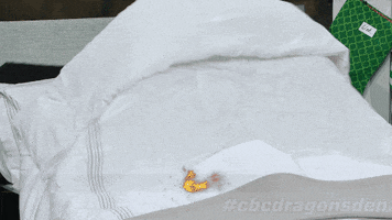good morning GIF by CBC