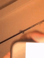 200.gif?cid=fc005b0801b20c17d8cdccbb27342ae627aeeadfbfca3e2f&rid=200.gif&ct=g