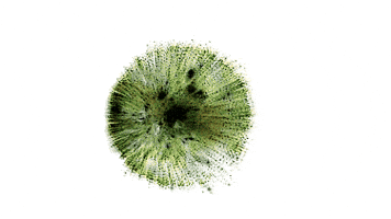 vibrations nature sound fractal vibrations GIF