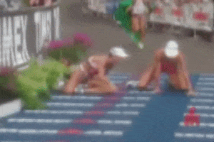 alexandretrimessaint-jalm  GIF