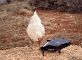200.gif