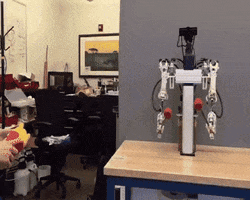 manueloccorso bear robot technology artificial intelligence GIF