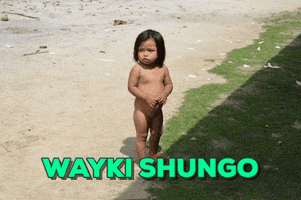 trip  GIF