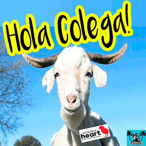 asor madrid domingo ultimo la imperdible GIF