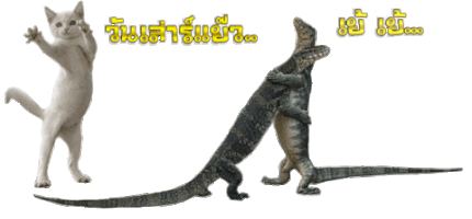 photiot funny cat Sticker