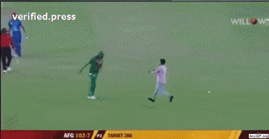 mohammadtajulislam  GIF