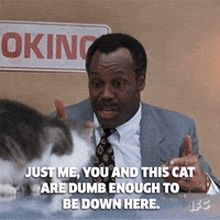 lethal weapon cats GIF by IFC