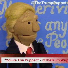 thetrumppuppet trump puppet debate thetrumppuppet GIF