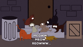 aroused cats GIF by South Park 