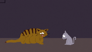 cat rolling GIF by South Park