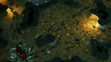 slugdisco  GIF