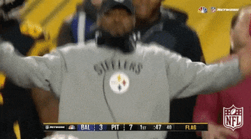 Pittsburgh Steelers Wtf GIF by NFL