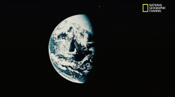 200.gif?cid=fc005b0843ecaeab42d2a5478e713f15871deff0fc4dbfc9&rid=200.gif&ct=g