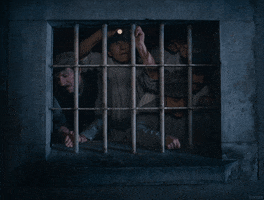 breaking out wes anderson GIF by Tech Noir