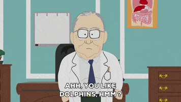 interested dolphin GIF by South Park 