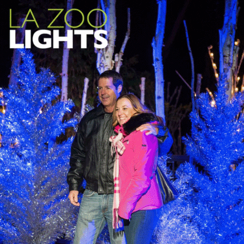 los angeles christmas GIF by Los Angeles Zoo and Botanical Gardens