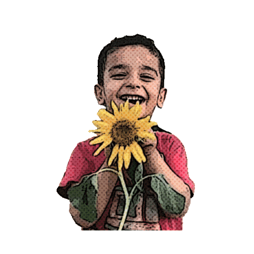 Palestine Gaza Sticker by Muslim Pro