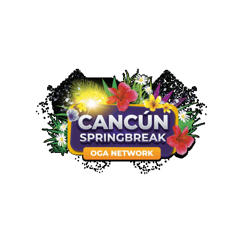 Cancún Sticker by Oga Network