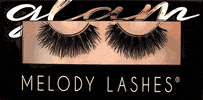 Makeup Lash GIF by Melody Lashes