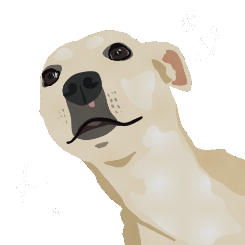Dog Sparkle Sticker