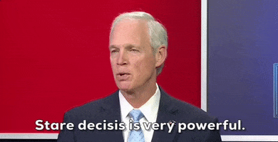 Wisen Precedent GIF by GIPHY News