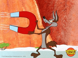 oh no omg GIF by Looney Tunes