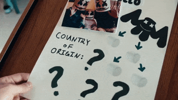 country of origin GIF by Marshmello