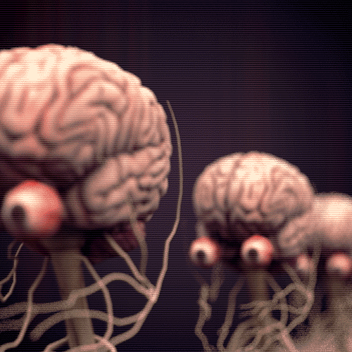 Brain GIF by 29thfloor - Find & Share on GIPHY